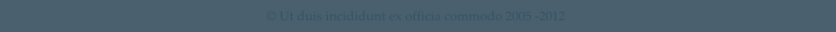 � Ut duis incididunt ex officia commodo 2005 -2012