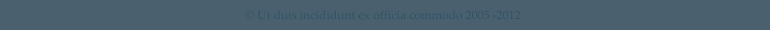 � Ut duis incididunt ex officia commodo 2005 -2012